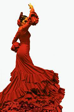  Flamenco    RiaL dance