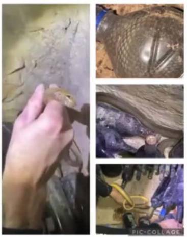 Φίδια εντοπίστηκαν σε κελάρι με κρασιά στο Δρυμό