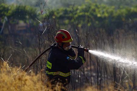 Πυρκαγιά σε μαντρί στο Κολχικό - Κάηκαν 80 αρνιά